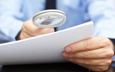 EL CONTROL DEL ELECTOR