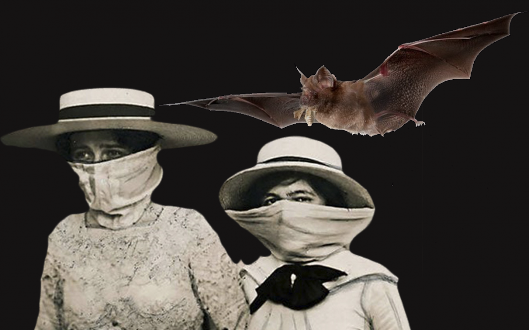 LECCIONES QUE DEJA LA PANDEMIA