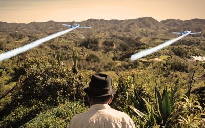 Bombardeos y fumigaciones: plan de erradicación mediante aspersión aérea.