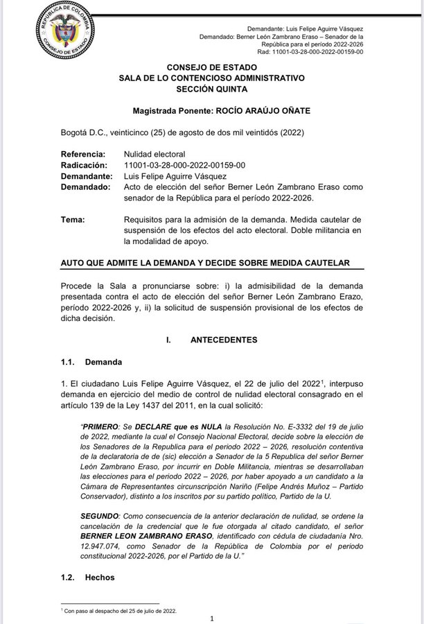 Consejo-de-Estado-Berner-1 (1)